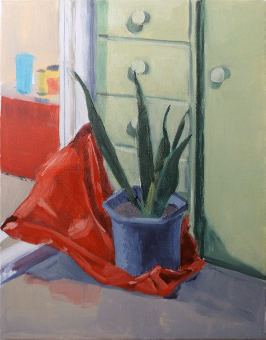Snake Plant